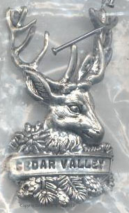 1990s Hike Staff Medalion